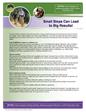 OPTION: Insert company or wellness program LOGO and