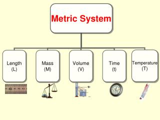 The Metric System