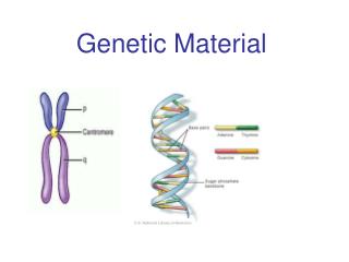 Genetic Material