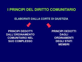 I PRINCIPI DEL DIRITTO COMUNITARIO