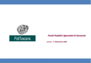 Fondi Pubblici Agevolati di Garanzia Lucca, 11 Settembre 2008