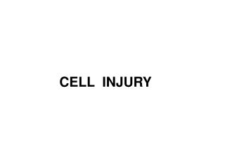 CELL INJURY