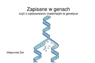 Zapisane w genach czyli o zastosowaniu matematyki w genetyce Małgorzata Żak