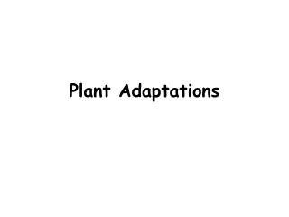 Plant Adaptations