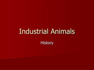 Industrial Animals