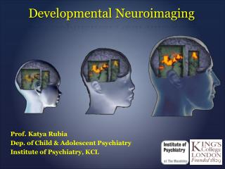 Developmental Neuroimaging