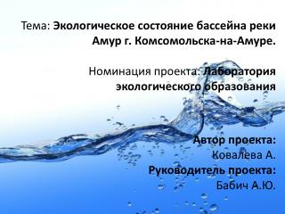 Тема : Экологическое состояние бассейна реки Амур г . Комсомольска-на-Амуре .