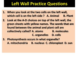 Left Wall Practice Questions