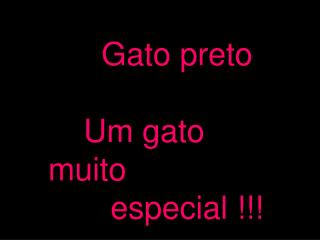 Gato preto Um gato muito especial !!!