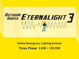 Online Emergency Lighting Inverter