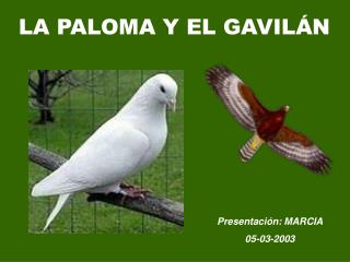 LA PALOMA Y EL GAVILÁN