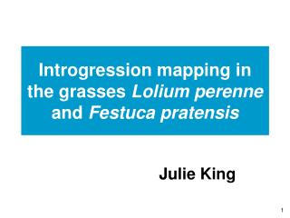 Introgression mapping in the grasses Lolium perenne and Festuca pratensis
