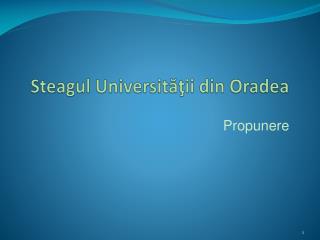 Steagul Universităţii din Oradea