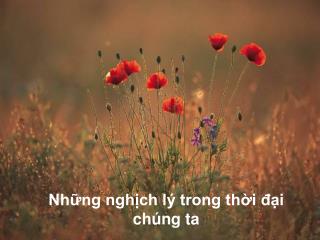 Những nghịch lý trong thời đại chúng ta