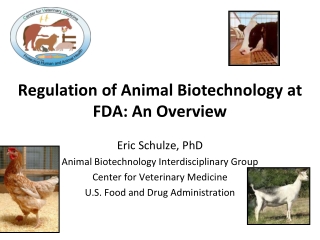Regulation of Animal Biotechnology at FDA: An Overview