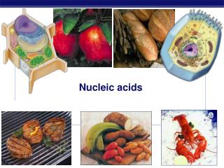 Nucleic acids