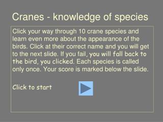 Cranes - knowledge of species