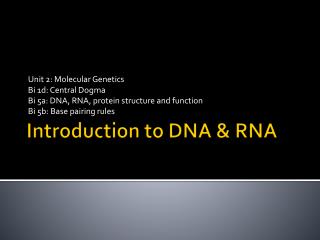 Introduction to DNA &amp; RNA