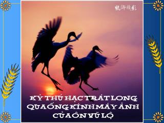 KYØ THUÙ HAÏC TRAÙT LONG QUA OÁNG KÍNH MAÙY AÛNH