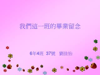 我們這一班的畢業留念