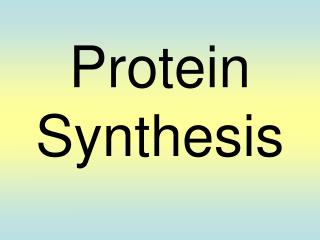 Protein Synthesis