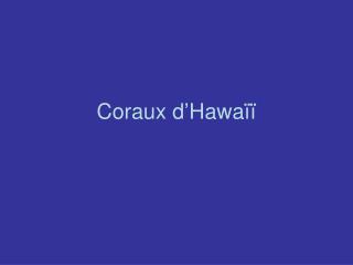 Coraux d’Hawaïï