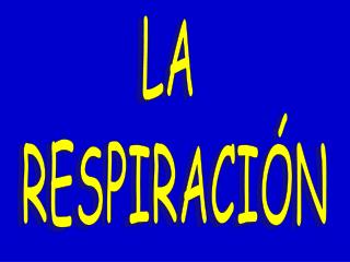 LA RESPIRACIÓN