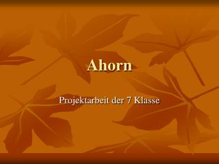 Ahorn