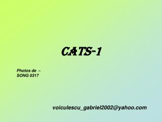 CATS-1