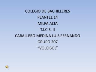 COLEGIO DE BACHILLERES PLANTEL 14 MILPA ALTA T.I.C’S. II CABALLERO MEDINA LUIS FERNANDO GRUPO 207