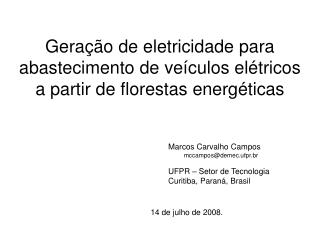Geração de eletricidade para abastecimento de veículos elétricos a partir de florestas energéticas