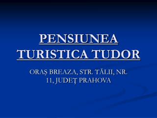 PENSIUNEA TURISTICA TUDOR