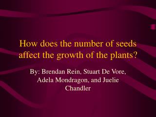 How does the number of seeds affect the growth of the plants?
