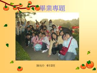 畢業專題