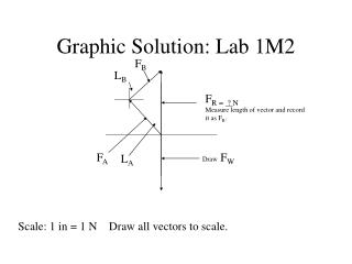 Graphic Solution: Lab 1M2