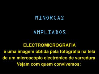 MINORCAS AMPLIADOS