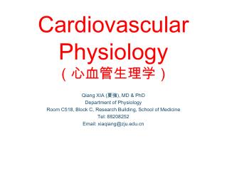 Cardiovascular Physiology （心血管生理学）