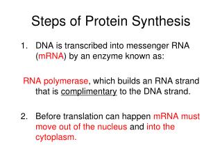 Steps of Protein Synthesis