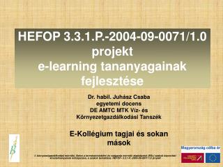 HEFOP 3.3.1.P.-2004-09-0071/1.0 projekt e-learning tananyagainak fejlesztése