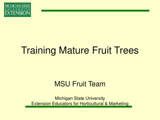 Training Mature Fruit Trees