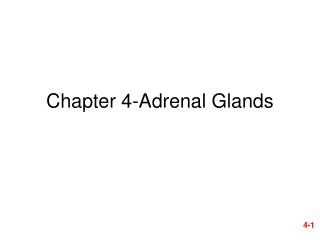 Chapter 4-Adrenal Glands