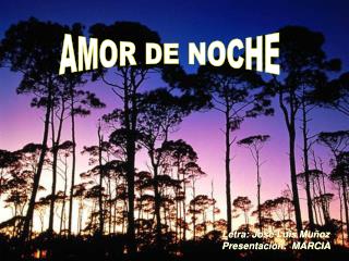 AMOR DE NOCHE