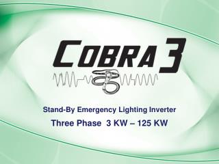 Stand-By Emergency Lighting Inverter