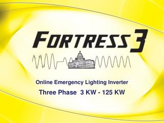 Online Emergency Lighting Inverter