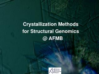 Crystallization Methods for Structural Genomics @ AFMB