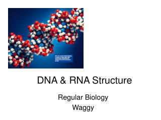 DNA &amp; RNA Structure