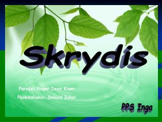 Skrydis