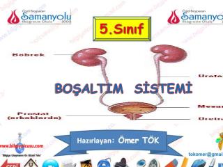 BOŞALTIM SİSTEMİ