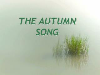 THE AUTUMN SONG