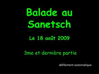 Balade au Sanetsch